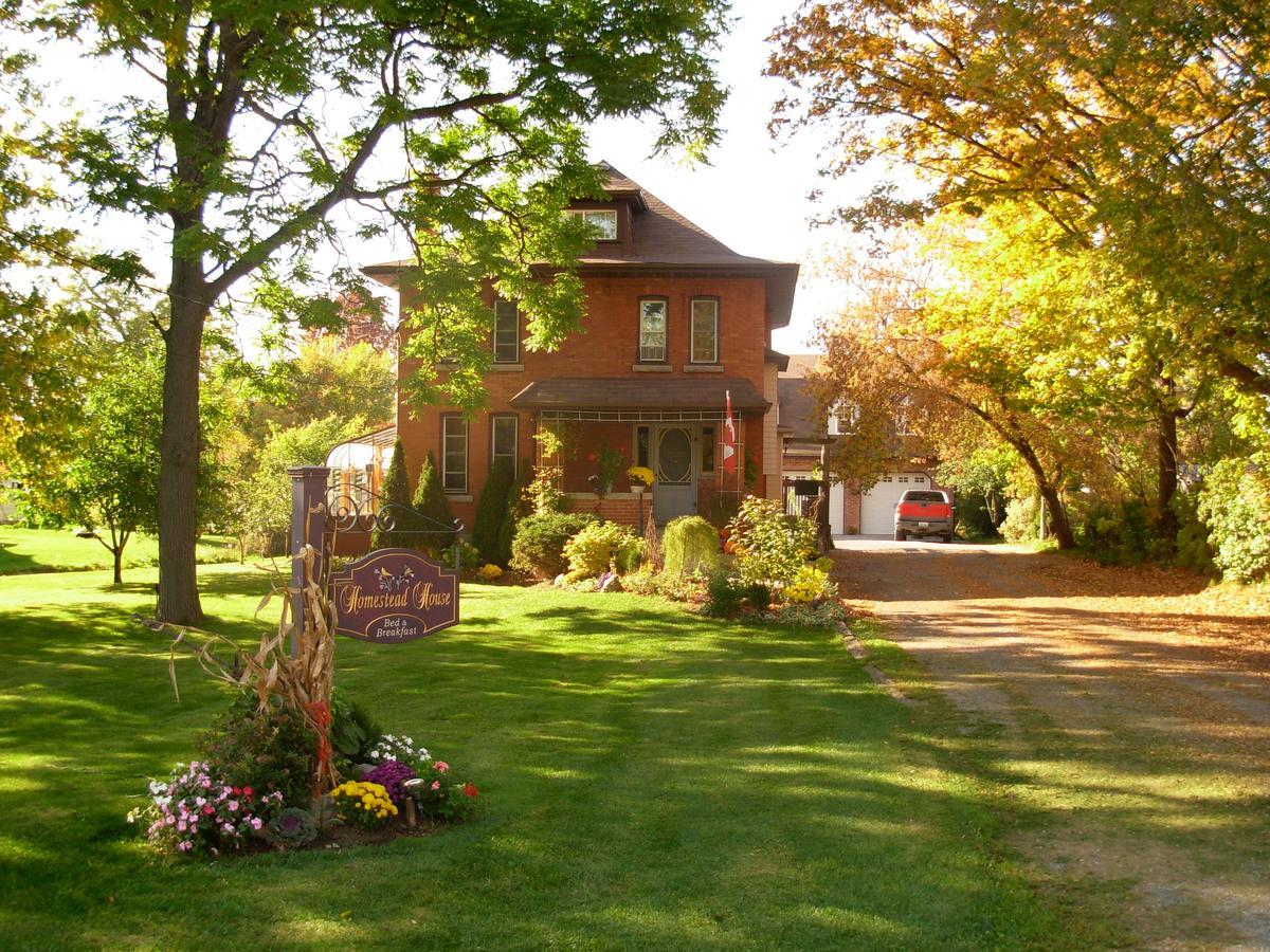 Homestead House B&B Hamilton Exteriör bild